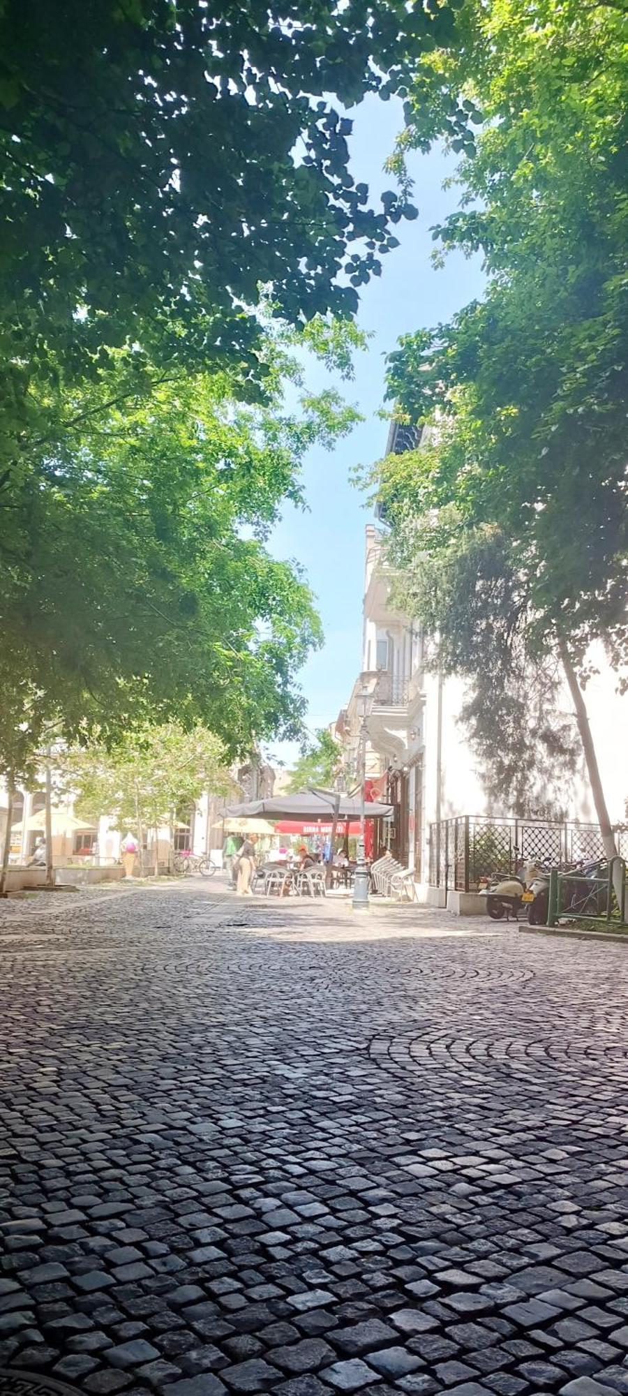 Enchanting Retreat - Historic Old Town - Pet-Friendly Haven - Steps From Unirii Bukarest Exterior foto